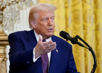 ‘गाजा में खून-खराबा रुका नहीं तो हमास को खत्म कर देंगे’, डोनाल्ड ट्रंप का सीधा अल्टीमेटम