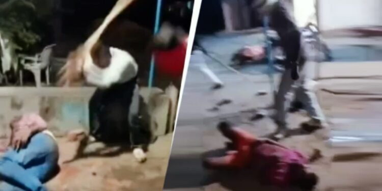 शहडोल में जमीनी विवाद पर दो सगे भाइयों की पीट-पीटकर हत्या, तीसरा भाई गंभीर…वारदात का वीडियो आया सामने