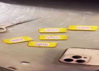 म्यांमार से आई महिला ने अंडरगारमेंट में छिपा रखा था सोना… दिल्ली एयरपोर्ट पर कस्टम ने किया जब्त