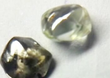 जंगल के गाइड की बदली किस्मत… एक साथ मिले दो हीरे, 1.56 कैरेट का ‘जेम्स क्वालिटी’ डायमंड भी