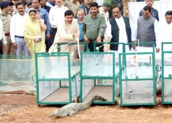 CM मोहन यादव ने नर्मदा में छोड़े मगरमच्छ, जानें MP सरकार की इस पहल से क्या होगा फायदा?