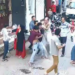 फ्लाइंग किस विवाद: युवती ने छेड़खानी पर लड़के को पीटा, आरोपी की फैमिली ने घर में घुसकर किया हमला, 15 पर FIR दर्ज