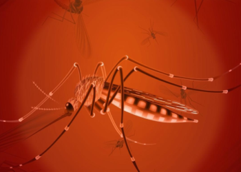 दिल्ली में मलेरिया का कहर: छह साल का रिकॉर्ड टूटा, बुखार और कंपकंपी से हो जाएं सावधान