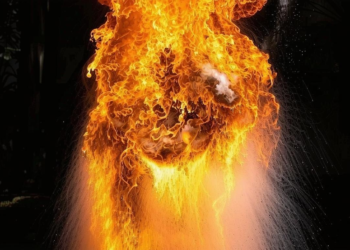 अमेरिका के टेनेसी में विस्फोटक संयंत्र में धमाके से 16 लोगों की मौत, शेरिफ ने दी जानकारी