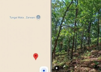 Google Map की गलती से जंगल में भटके 5 जीनियर्स, ट्रेकिंग के दौरान आई बड़ी परेशानी