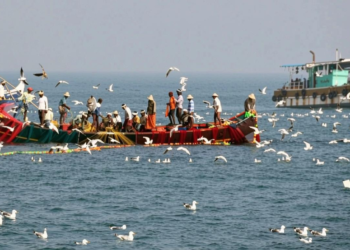 श्रीलंका की नौसेना ने 47 भारतीय मछुआरों को गिरफ्तार किया: जानिए पूरी खबर