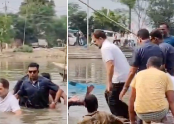 …जब मछली पकड़ने के लिए राहुल गांधी ने तालाब में लगाई छलांग- VIDEO