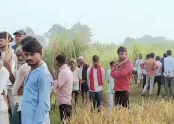 उत्तर प्रदेश: बहराइच में 15 महीने की बच्ची को उठा ले गया भेड़िया, मौत के बाद जानवर को मारी गई गोली