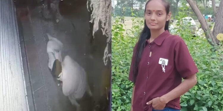 ‘मेरा भाई तुम्हारी वजह से मरा है’ कहकर पत्नी पर हमला, अहमदाबाद में सरेआम चाकूबाजी से मचा हड़कंप