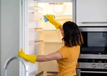 Fridge Cleaning Tips Guide: फ्रिज रहेगा नया और बदबू रहित! इन 4 स्टेप्स में करें डीप क्लिनिंग | News Track …