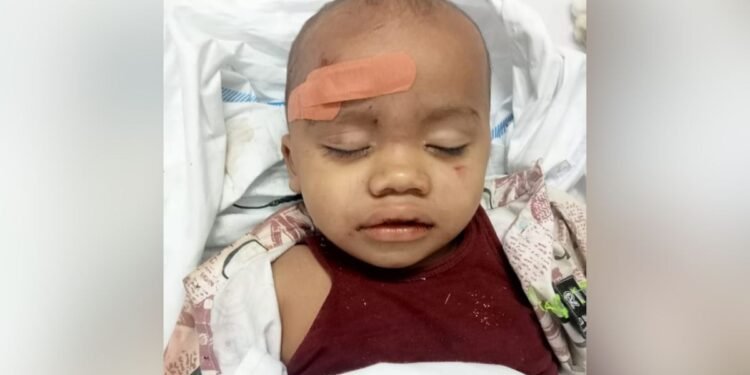 बिलासपुर रेल हादसा… मलबे में जिंदा मिला मासूम, माता-पिता का अब तक नहीं लगा कोई सुराग