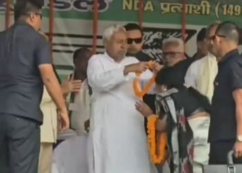 जनसभा के दौरान मंच पर स्वागत करने आई महिला, सीएम नीतीश कुमार ने पहना दी फूलमाला, Video