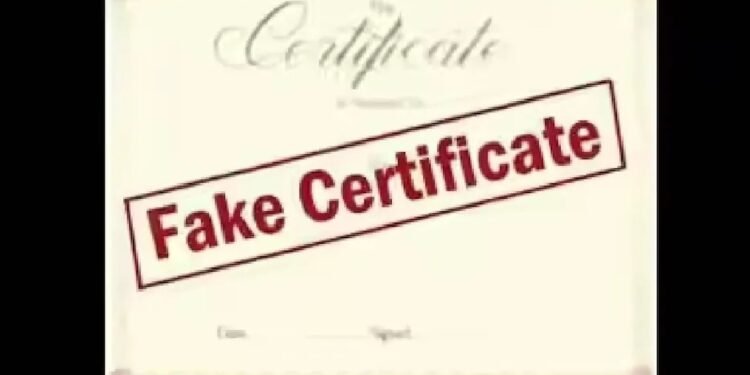 गांव में एक भी मुस्लिम परिवार नहीं, फिर भी अंजुम खान को मिल गया बर्थ सर्टिफिकेट… MP में पंचायत सचिव सस्पेंड