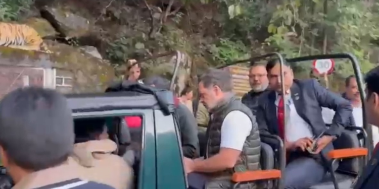 ‘लीडर ऑफ पर्यटन…’,  मध्य प्रदेश के पचमढ़ी पहुंचे राहुल ने की सफारी तो BJP ने कसा तंज