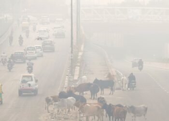 सांसों में घुसते जहर के बीच नियमों की उड़ रहीं धज्जियां! GRAP-2 के बाद भी हवा में सुधार नहीं