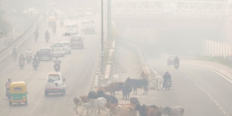 सांसों में घुसते जहर के बीच नियमों की उड़ रहीं धज्जियां! GRAP-2 के बाद भी हवा में सुधार नहीं