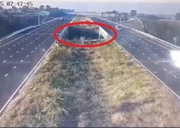 Video: दिल्ली-मुंबई एक्सप्रेसवे पर दर्दनाक हादसा, तेज रफ्तार कार खाई में गिरी, 5 की मौत