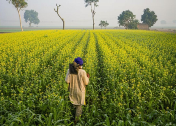 सोलर पंप पर 90% तक सब्सिडी: किसान कैसे करें आवेदन और लाभ उठाएं