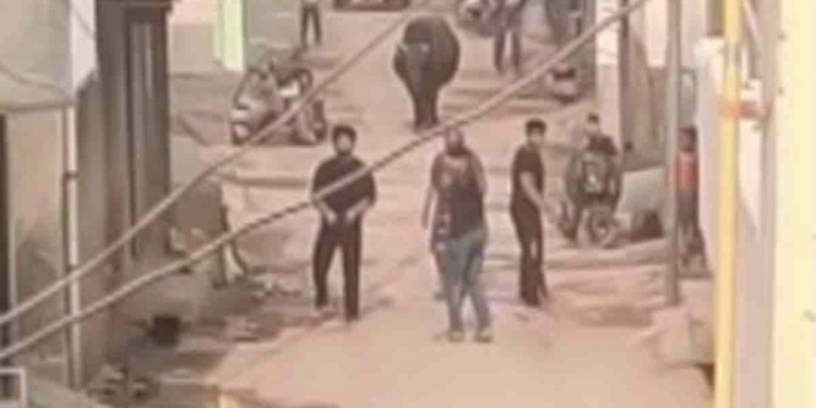 नोएडा में जमीनी विवाद पर दिनदहाड़े फायरिंग, सड़क पर गोलियों की बौछार का वीडियो वायरल