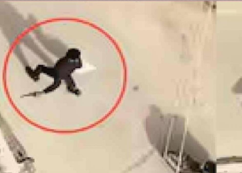 बिहार सीवान में दिनदहाड़े कट्टा दिखाकर लाखों के गहने लूटने वाले 6 आरोपी गिरफ्तार