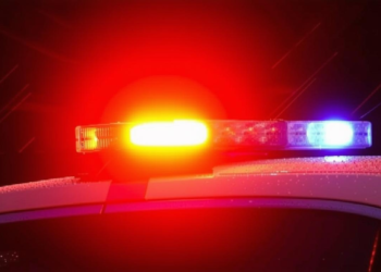 शादी में रिश्तेदारों को भौकाल दिखाने के लिए कार पर लगाई लाल-नीली बत्ती, फिर असली पुलिस से हुआ सामना