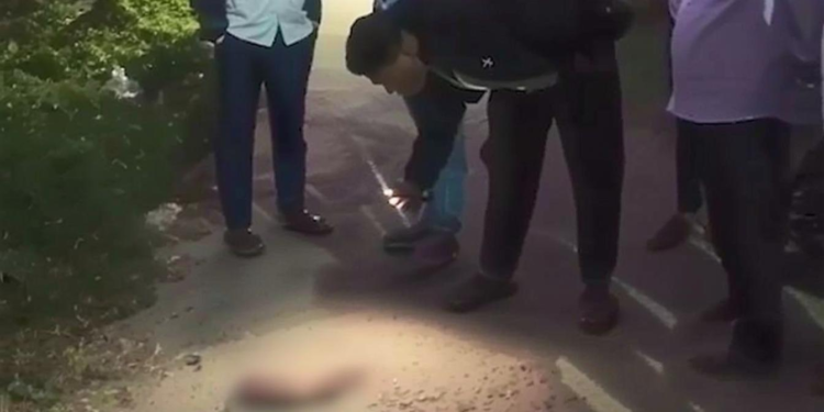 नवजात बच्ची की मौत का रहस्य: झाड़ियों में फेंका गया शव, कुत्ते ने घसीटा, जानिए पूरी कहानी