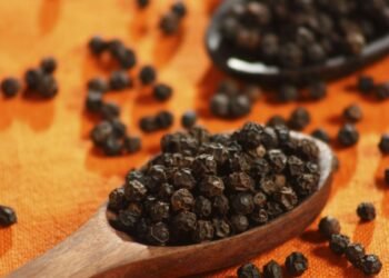 Astrology Remedies: तकिए के नीचे काली मिर्च को रखकर सोने के 4 चमत्कारिक फायदे, जानकर रह जाएंगे हैरान