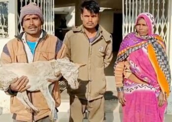 दोनों हाथों में कुत्ते का शव लेकर थाने पहुंच गया बेबस मालिक… बोला- साहब, पत्थर मारने से मना किया तो पड़ोसी ने करंट लगाकर मार डाला