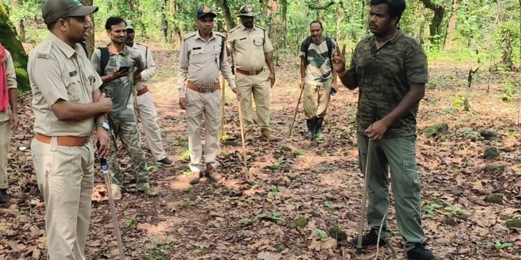 MP: संजय टाइगर रिजर्व में 2 शावकों की मौत… दूसरे बाघ के हमले का शक