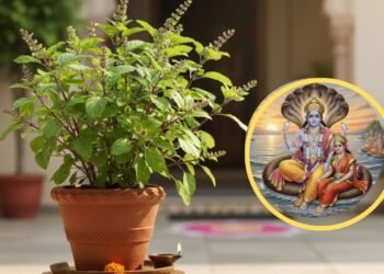 Saphala Ekadashi 2025 Upay: सफला एकादशी के दिन जरूर करें तुलसी से जुड़े ये चमत्कारी उपाय , बरसेगी श्रीहरि की कृपा