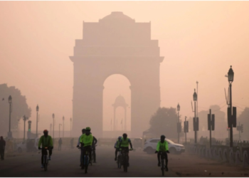 दिल्ली में परसों से इन वाहनों को नहीं मिलेगा पेट्रोल, बढ़ते प्रदूषण पर मंत्री सिरसा ने मांगी माफी