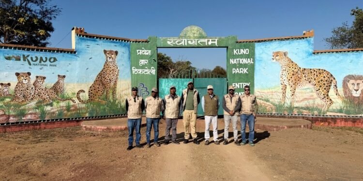 MP: कूनो नेशनल पार्क पहुंची बोत्सवाना की टीम, तीसरी खेप में लाए जाने हैं 8 चीते, तैयारी तेज