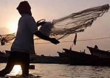 नौका और जाल की खरीद पर 90 फीसदी तक अनुदान, मछुआरों के लिए बिहार सरकार लाई ये स्कीम