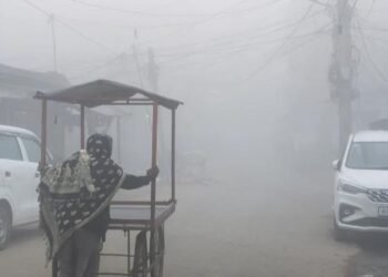 दरभंगा में शीतलहर के साथ शुरू हुआ कड़ाके की ठंड… स्कूल बंद, अलाव और कंबल से राहत अभियान शुरू