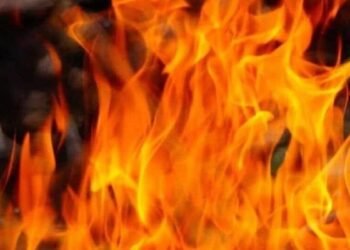 दिल्ली के बिंदापुर में हादसा… ई-रिक्शा चार्जिंग स्टेशन में भड़की आग, मौके पर पहुंची फायर ब्रिगेड