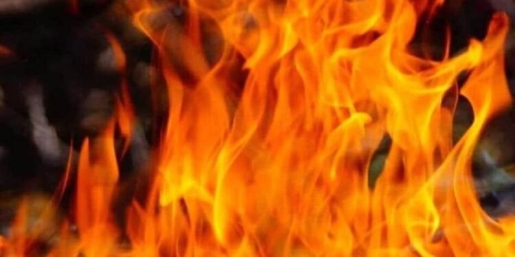 दिल्ली के बिंदापुर में हादसा… ई-रिक्शा चार्जिंग स्टेशन में भड़की आग, मौके पर पहुंची फायर ब्रिगेड