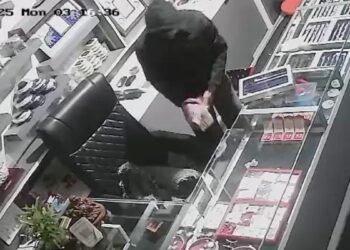 AI ने छीनी नौकरी, तो प्रेमी जोड़ा बन गया ‘बंटी-बबली’; सिलिकॉन सिटी की 15 लाख की चोरी का खुलासा