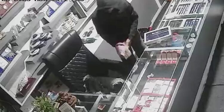 AI ने छीनी नौकरी, तो प्रेमी जोड़ा बन गया ‘बंटी-बबली’; सिलिकॉन सिटी की 15 लाख की चोरी का खुलासा