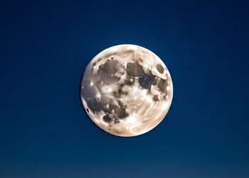 Paush Purnima 2026: नए साल की पहली पूर्णिमा पर करें इन चीजों का दान, धन-समृद्धि से भरा रहेगा घर