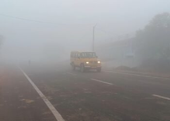 पन्ना में ‘सफेद अंधेरा’… घने कोहरे की चादर में लिपटा शहर, 20 मीटर तक गिरी विजिबिलिटी