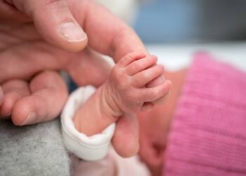 विदिशा: श्मशान घाट के पास कुत्ते के मुंह में मिला नवजात का शव, दिल दहला देने वाली घटना से मची सनसनी