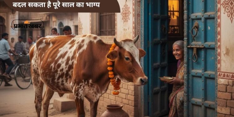 New Year 2026 Shubh Sanket: नए साल की सुबह मिल जाएं ये संकेत, तो समझ लें खुलने वाली है किस्मत