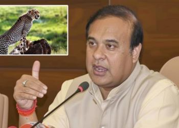 असम के सीएम हिमंत बिस्वा सरमा ने पीएम मोदी की नेतृत्व में 32 चीते फल-फूलने का दावा, जानिए पूरी खबर