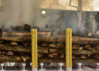 दिल्ली के श्मशान घाटों पर उपले जलाने का प्रस्ताव: हवा की गुणवत्ता और स्वास्थ्य पर बढ़ता खतरा