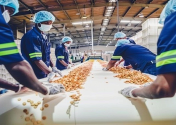 बिहार में अनाज भंडार और फूड प्रोसेसिंग उद्योग के विकास का सुनहरा अवसर