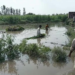 बिहार सरकार बाढ़, बारिश और तूफान से बर्बाद फसलों की भरपाई के लिए 5 दिसंबर तक आवेदन करें-जानिए पूरी जानकारी