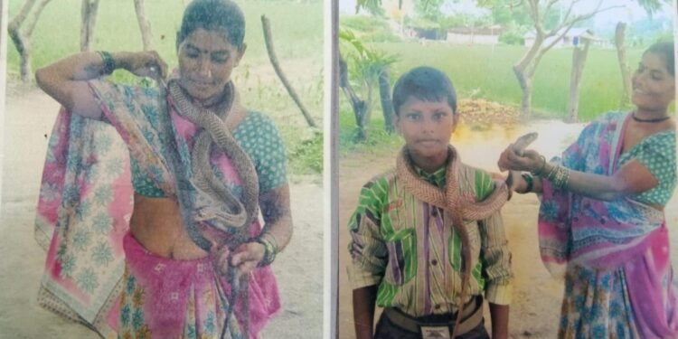 जहरीले सांपों से दोस्ती, इंसानी जान बचाने का जुनून और…, बगहा की ‘स्नेक लेडी’ जानकी दीदी की पूरी कहानी