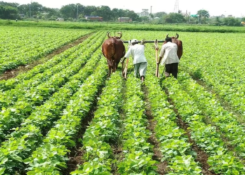 बिहार में सरकारी परियोजना में भ्रष्टाचार की परतें खुलीं, भूमि मुआवजा घोटाले में 10 अधिकारी नामजद