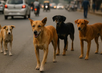 ‘शिक्षकों से कुत्तों की गिनती’ वाला AAP का दावा फर्जी, दिल्ली शिक्षा विभाग ने दर्ज कराई FIR