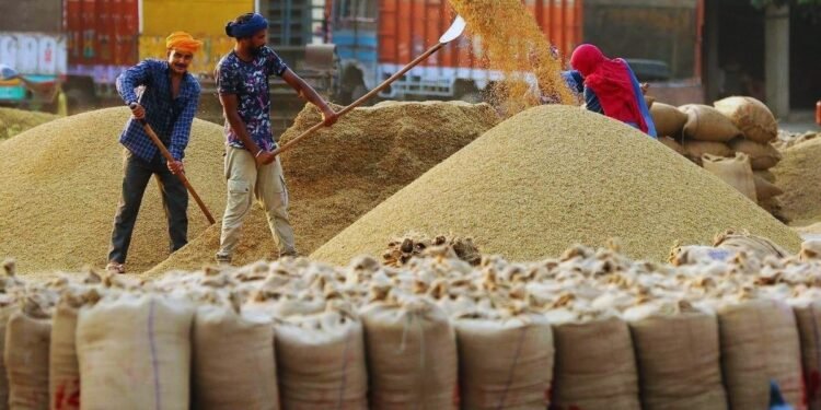 किसानों के लिए राहत की खबर! धान खरीद पर 24 घंटे के भीतर होगा भुगतान, सरकार का निर्देश